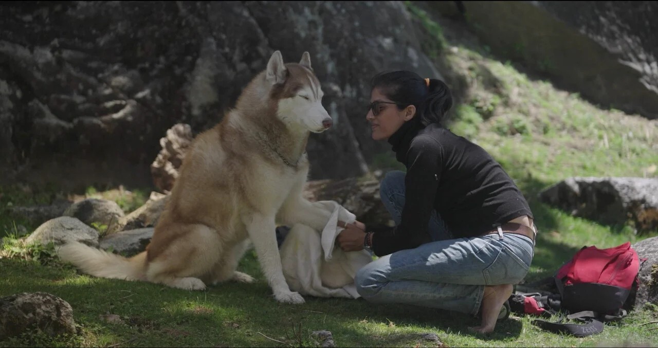 OSLO: A TAIL OF PROMISE